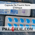 Africa Black Ant Capsule new15